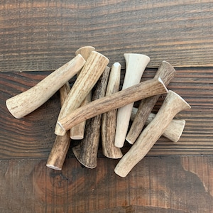 PETIT chien à mâcher en bois de wapiti entier | Bois à mâcher | à mâcher pour chien en bois de cerf | Bois à mâcher pour chien | à mâcher bio pour chiens | Gâteries pour chien Antler | 1 chacun