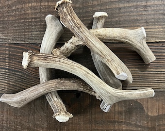 X-LARGE Deer Antler Dog Chew | Long Lasting Organic Treat