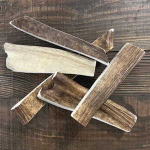JUMBO Moose Paddle Dog Chew | Antler Chew | Elk Antler Dog Chew | Antler Dog Chew | Organic Dog Chews | Antler Dog Treats | Moose Antler