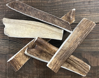 Jumbo Moose Paddle Dog Chew | Natural Shed Antler