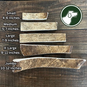 Moose Paddle Antler Dog Chew | Antler Chew | Moose Antler Dog Chew | Shed Antler Chew | Organic Dog Chews | Premium Antler Dog Treats