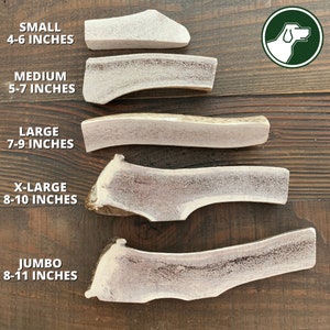 Split Elk Antler Dog Chew | Antler Chew | Deer Antler Dog Chew | Shed Antler Chew | Organic Dog Chews | Premium Antler Dog Treats | Antlers