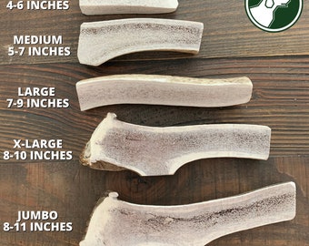 Split Elk Antler Dog Chew | Natural Shed Antler