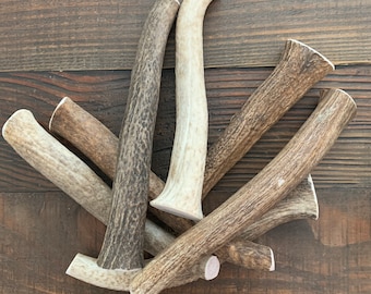 X-LARGE Whole Elk Antler Dog Chew | Long Lasting Organic Treat