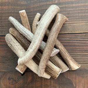 LARGE Whole Elk Antler Dog Chew | Antler Chew | Deer Antler Dog Chew | Antler Dog Chew | Organic Dog Chews | Antler Dog Treats | 1 each