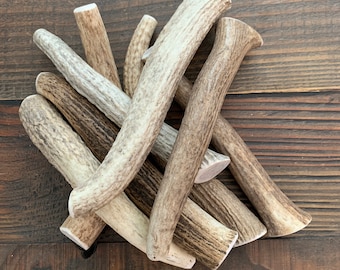 Large Whole Elk Antler Dog Chew | Natural, Long Lasting