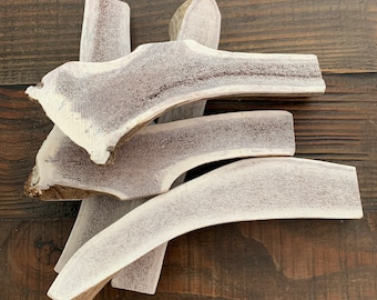 X-Large Split Elk Antler Dog Chew | Naturally Shed