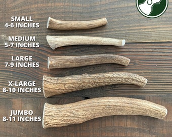 Whole Elk Antler Dog Chew | Antler Chew | Deer Antler Dog Chew | Shed Antler Chew | Organic Dog Chews | Premium Antler Dog Treats | Antlers