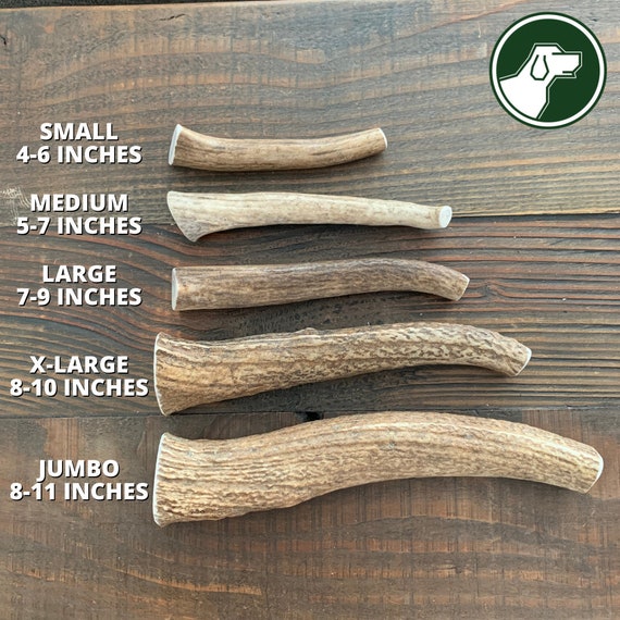 Whole elk hotsell antlers for dogs