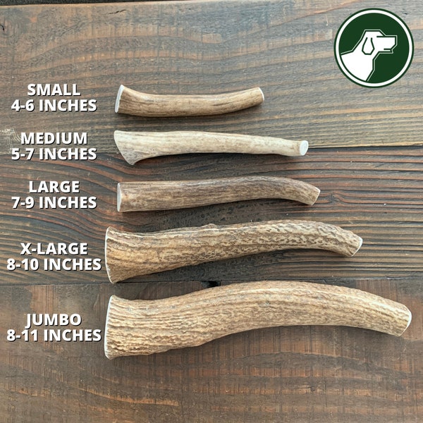 Whole Elk Antler Dog Chew | Antler Chew | Deer Antler Dog Chew | Shed Antler Chew | Organic Dog Chews | Premium Antler Dog Treats | Antlers