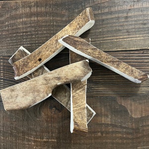 X-LARGE Moose Paddle Dog Chew | Antler Chew | Elk Antler Dog Chew | Antler Dog Chew | Organic Dog Chews | Antler Dog Treats | Moose Antler