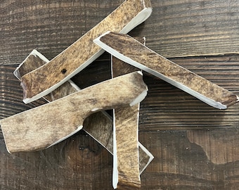 X-LARGE Moose Paddle Antler Dog Chew | Natural Shed