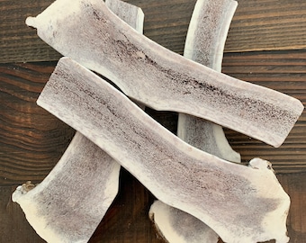 Jumbo Split Elk Antler Dog Chew | Natural Shed Antler