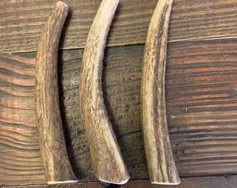 3 Pack Whole Elk Antler Dog Chew | Organic, Long Lasting