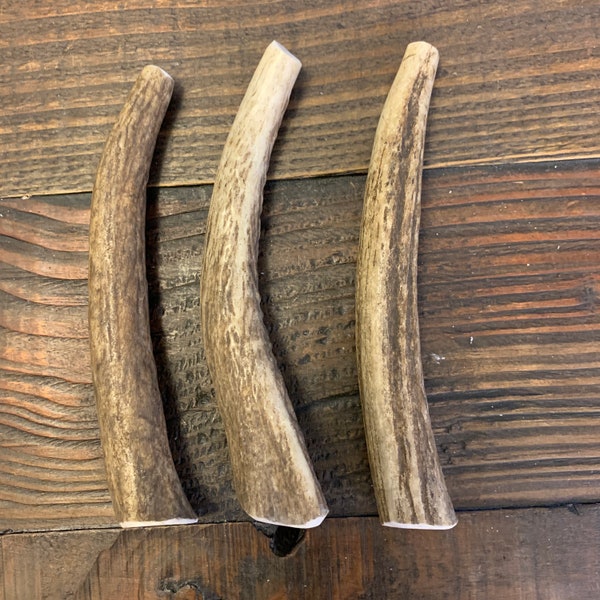 3 Pack Whole Elk Antler Dog Chew | Antler Chew | Deer Antler Dog Chew | Shed Antler Chew | Organic Dog Chews | Premium Antler Dog Treats