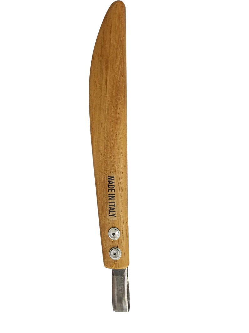 Rudyban Tool Bonsai Jin Shari and Deadwood Carving Loop Etsy