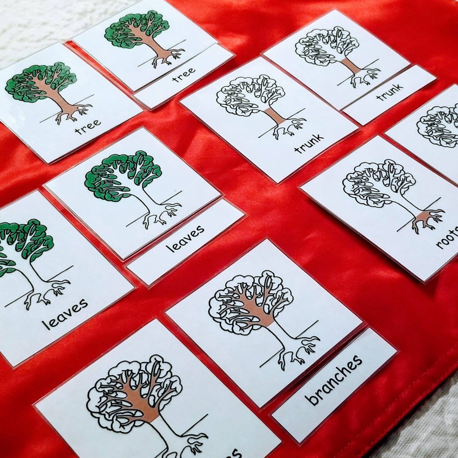 Montessori Nomenclature 3 part cards. Botany Bundle Set. Parts Etsy
