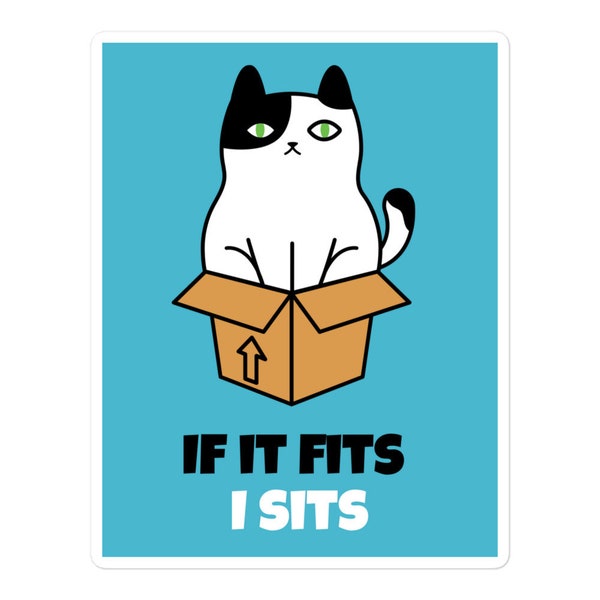 If It Fits I Sits Sticker - Cat In Box Sticker - Funny Cat Meme Sticker - Cat Lover Sticker