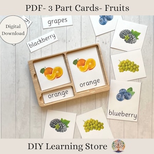 Fruits- Montessori 3 Part Flash Cards- Montessori toys and games- Editable PDF- Real Pictures- Nomenclature Cards- Instant download
