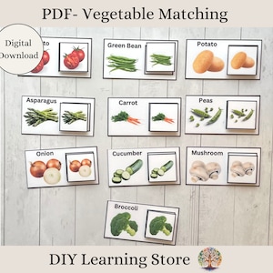 May include: A printable PDF worksheet for kids to learn about vegetables. The worksheet features 10 different vegetables, including broccoli, asparagus, green beans, carrots, peas, onions, cucumbers, mushrooms, potatoes, and tomatoes. Each vegetable is shown in two different images, one with the whole vegetable and one with a close-up of the vegetable.