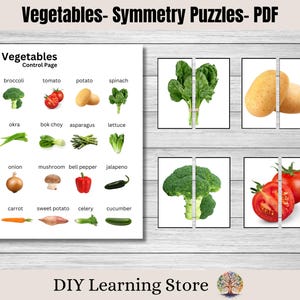 Quebra-cabeças de simetria de vegetais - Cartões de correspondência de vegetais - Atividades para crianças pequenas - Currículo pré-escolar - Recursos para educação domiciliar - Download digital - PDF