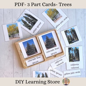 Trees- Montessori 3 part flash cards- Real Pictures- Editable PDF- Instant download- Montessori toys and games- Preschool - Homeschool