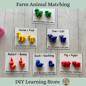 Farm Animals task box activity set- Montessori Learning Toy for Preschool, Homeschool, Special Education- Quiet time activity