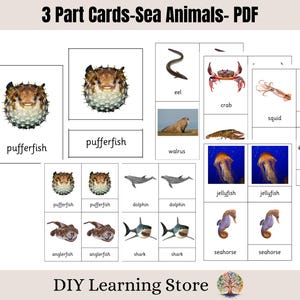 3 Part Cards- Sea Animals- Montessori Nomenclature Cards- Flash Cards- Three Part Cards- Reading- Matching- Kindergarten- Editable PDF