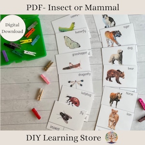 Insect or Mammal- activity cards- Instant Downloads- Montessori Learning Toy for Preschool, Kindergarten, Homeschool, Special Needs- PDF
