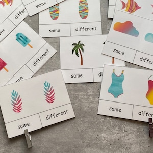 Same or Different-clip Cards- Task Box Activity for Preschool ...