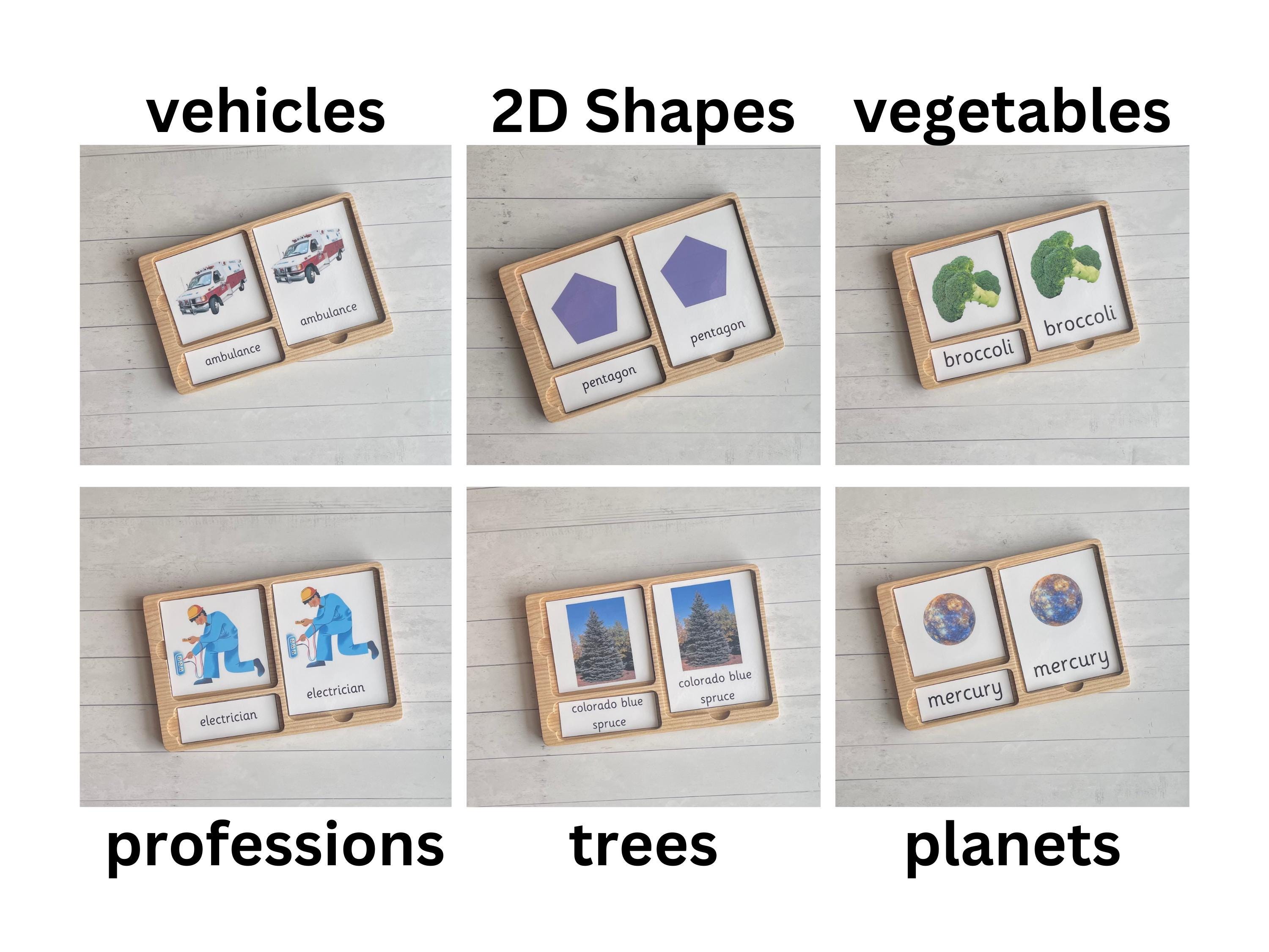 3 Part Cards Mega Bundle- 20 Themes- Nomenclature Cards- Montessori ...