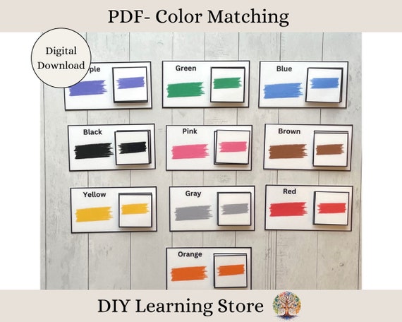Color Matching- Task Box Activity Set- for Toddlers, Preschool, Homeschool, Special Needs, Quiet Time Learning Centers, Adapted- PDF