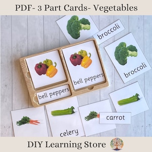 Vegetables-Montessori 3 Part Flash Cards- Montessori toys and games- Instant download- Real Pictures- Nomenclature Cards, Editable PDF