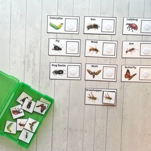 Insect Matching- Task Box Activity Set- for Toddlers, Preschool ...