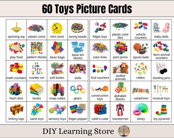 60 TOYS Picture Cards- Real Pictures- Visual Schedule- Homeschool- Classrooms- Preschool- Toy Bin Label- Autism Resource- Teaching Tool- PDF