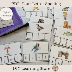 Práctica de ortografía: palabras de 4 letras. Descarga instantánea. Juguete de aprendizaje Montessori para jardín de infantes, educación en el hogar, primer grado, necesidades especiales. PDF