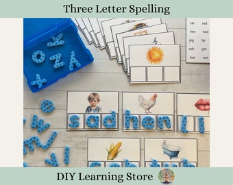 Spelling practice-3 letter words-task box- Montessori Learning Toy for Preschool, Kindergarten, 1st grade, Homeschool, Special Education