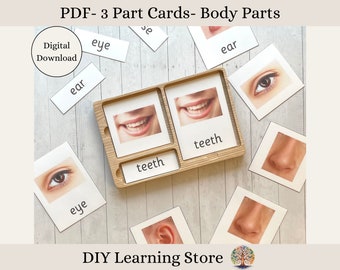 Body Parts- Montessori 3 Part Flash Card Set - Montessori toys and games- Instant download- Editable PDF- Real Pictures