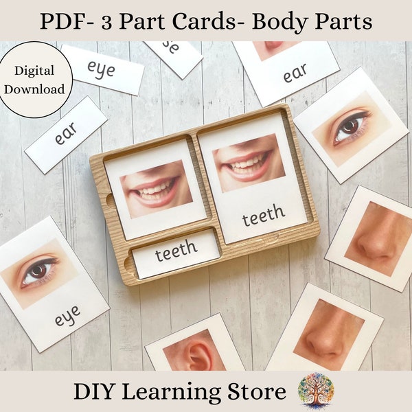 Body Parts- Montessori 3 Part Flash Card Set - Montessori toys and games- Instant download- Editable PDF- Real Pictures