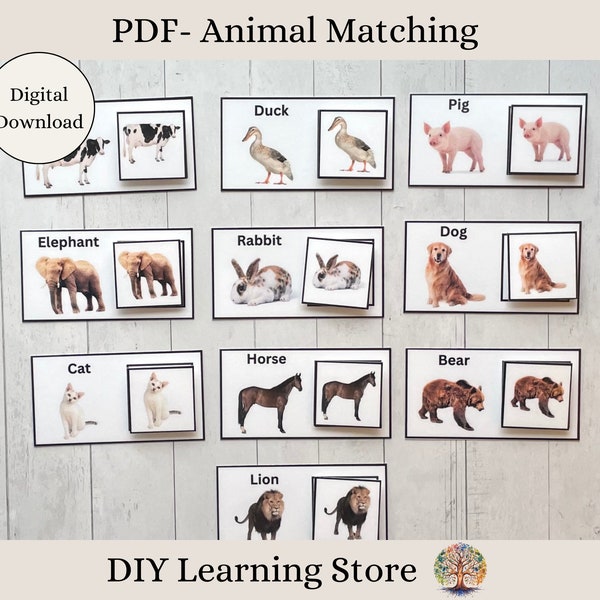 PDF- Animal Matching- Task Box Activity Set- for Preschool, Toddlers, Homeschool, Special Needs Binder, Quiet Time Learning, Busy Bag