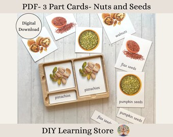 Nuts and Seeds- Montessori 3 Part Flash Cards- Real Pictures- Editable PDF- Instant download- Preschool - Homeschool - Special Education