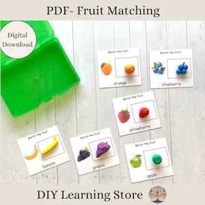 Fruit Matching Activity Cards- Instant Download- Montessori Learning Toy for Preschool, Homeschool, Special Needs, Quiet time, Centers- PDF