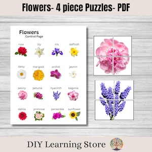 Blumenpuzzle- Kleinkindaktivitäten- 4-teilige Puzzles- echte Bilder- Blumenthemen Vorschulaktivitäten- Homeschool-Ressourcen-PDF
