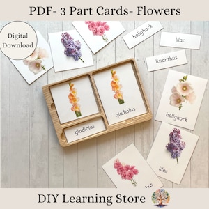 Flowers- Montessori 3 Part Flash Cards- Real Pictures- Editable PDF- Instant download- Preschool learning activity- special education