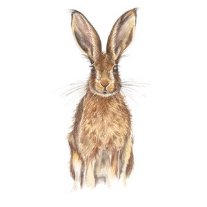 Hare Watercolour Print, Hare Watercolour Painting, Hare Painting, Hare Art, Hare Print, Hare Wall Art, Hare, Hare Print Art, Hare Picture