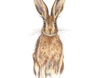 Hare Watercolour Print, Hare Watercolour Painting, Hare Painting, Hare Art, Hare Print, Hare Wall Art, Hare, Hare Print Art, Hare Picture