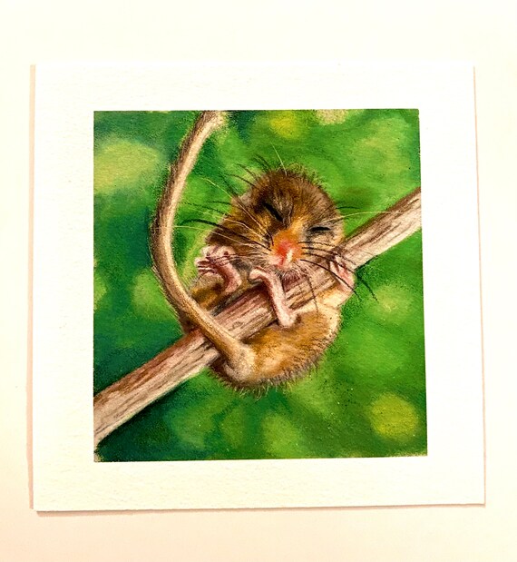 Dormouse Print Dormouse Painting Dormouse Watercolour - Etsy