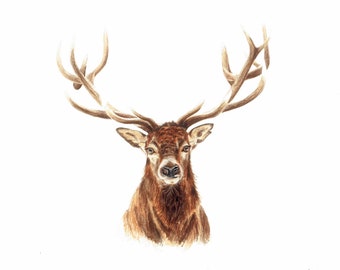 Stag Watercolour Print, Stag Watercolour Painting, Stag Painting, Stag Art, Stag Print, Deer Print, Stag, Christmas Gift For Him