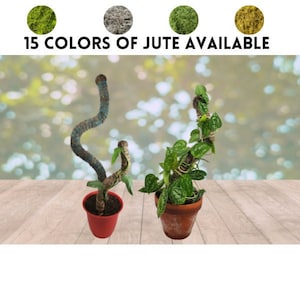 Bendable Moss Pole, Moss Pole for Monstera, Plant Accessory, Curvy Moss Pole, Plant Decoration, Indoor Plant Support Stake, Free Floral Pins