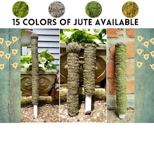 Stackable Moss Pole, Extensions Available, Extendable Moss Pole for Monstera, Plant Support Stake, Plant Accessory, Plant Decor, Free Pins